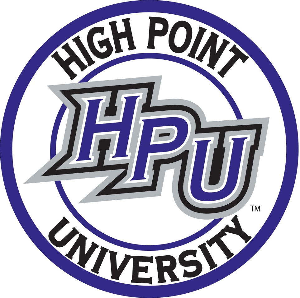 High Point Panthers 2004-Pres Alternate Logo v4 diy fabric transfer